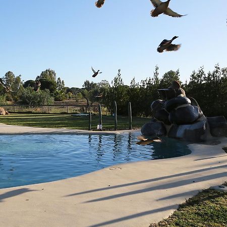 Ardea Purpurea Hotel Villamanrique de la Condesa Kültér fotó