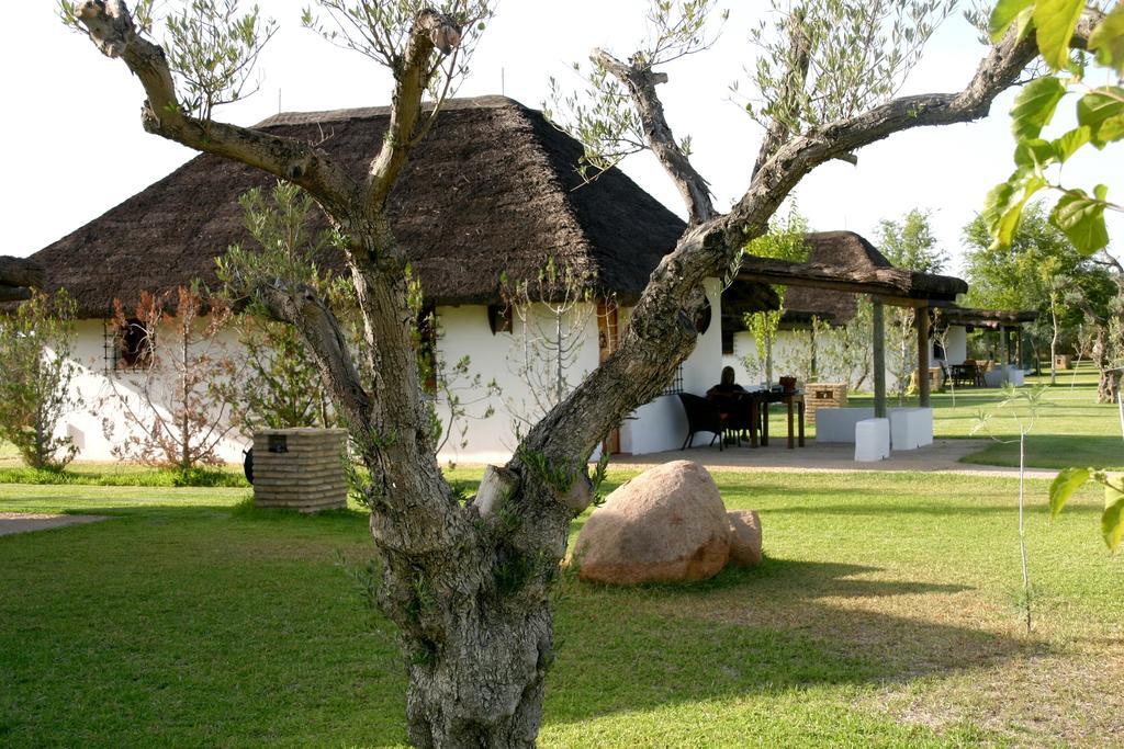Ardea Purpurea Hotel Villamanrique de la Condesa Kültér fotó